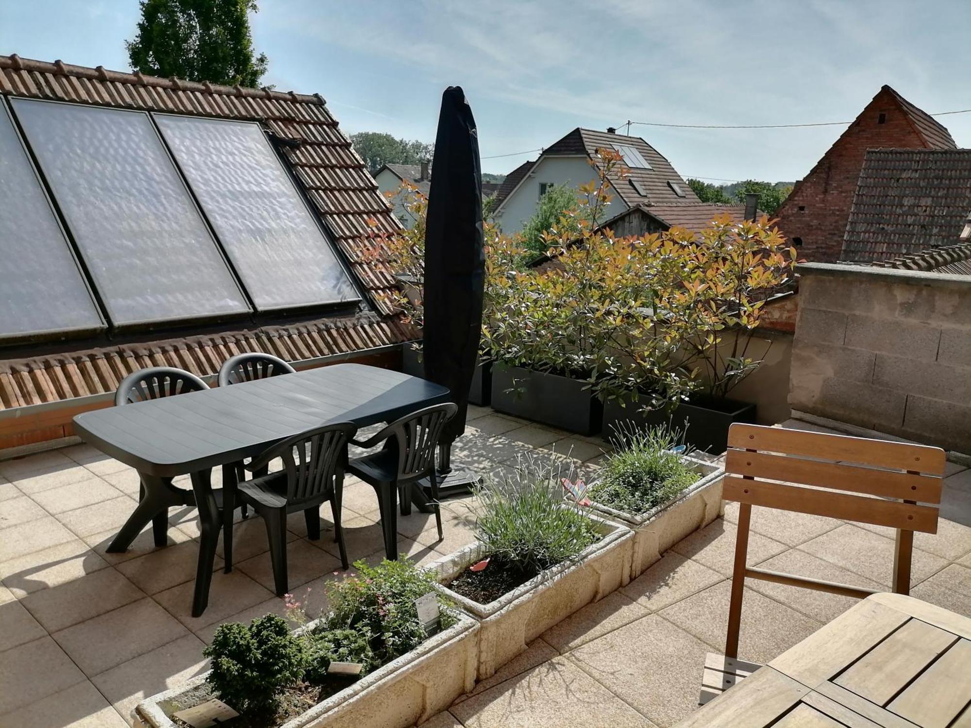 Appartement Et Terrasse Privee Ingolsheim Eksteriør billede