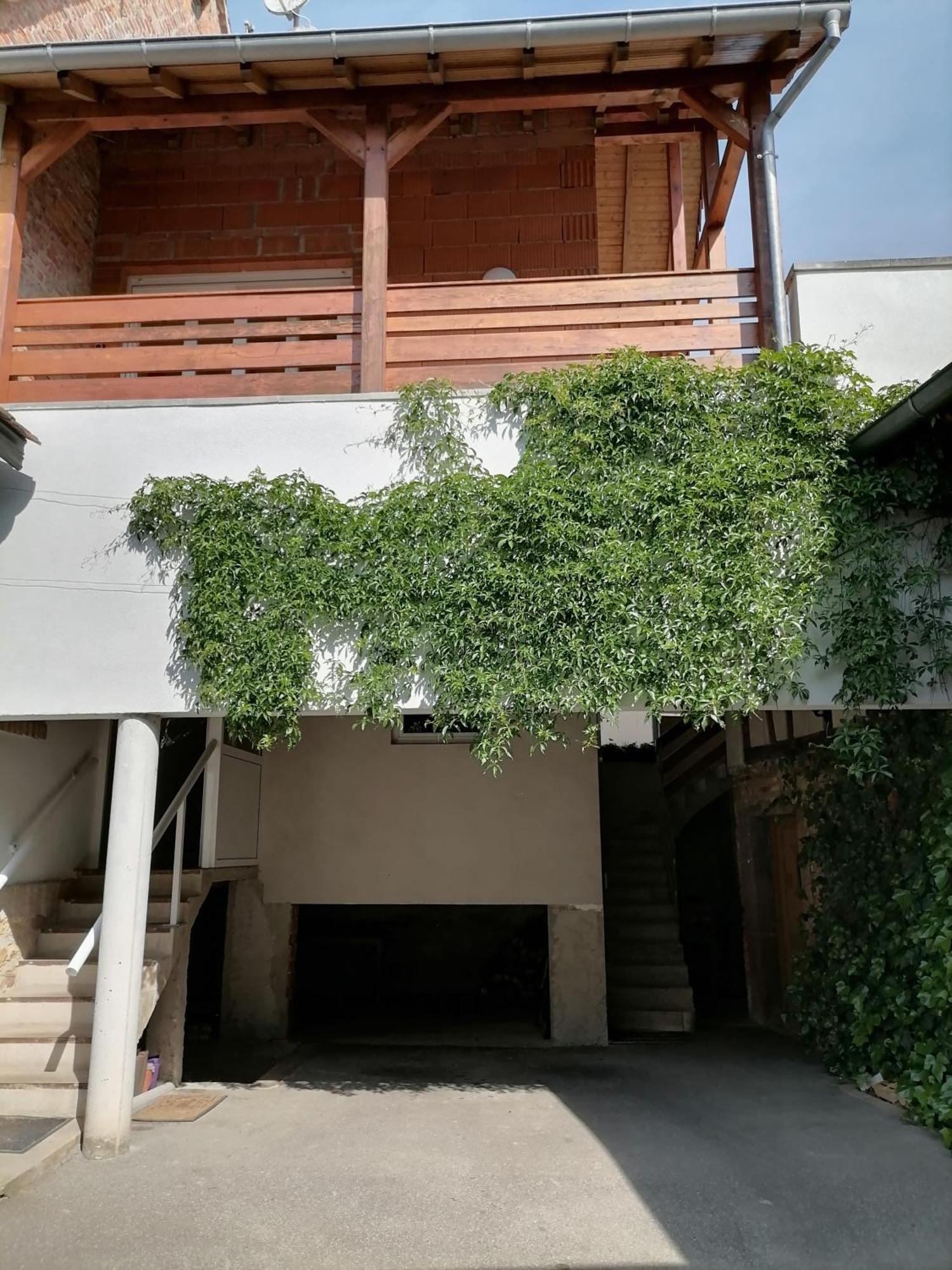 Appartement Et Terrasse Privee Ingolsheim Eksteriør billede