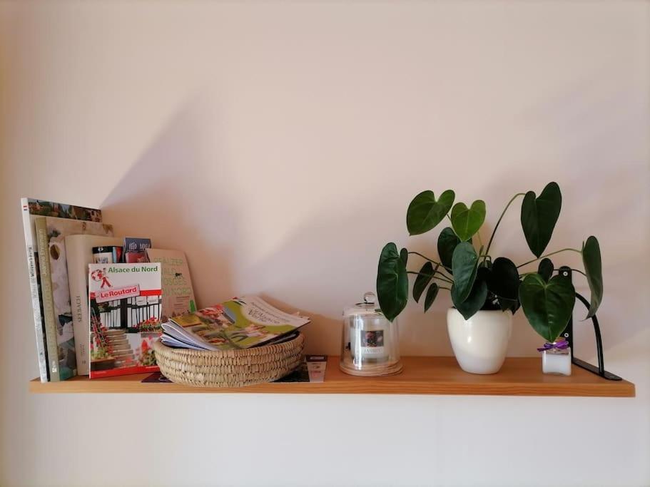 Appartement Et Terrasse Privee Ingolsheim Eksteriør billede