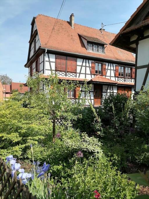 Appartement Et Terrasse Privee Ingolsheim Eksteriør billede