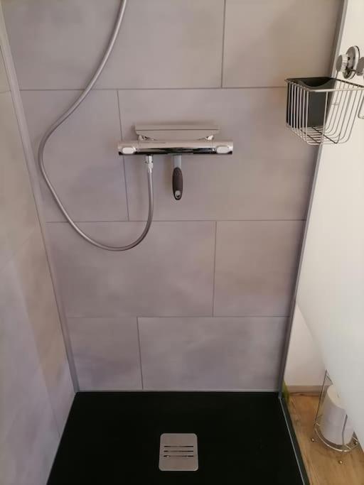 Appartement Et Terrasse Privee Ingolsheim Eksteriør billede